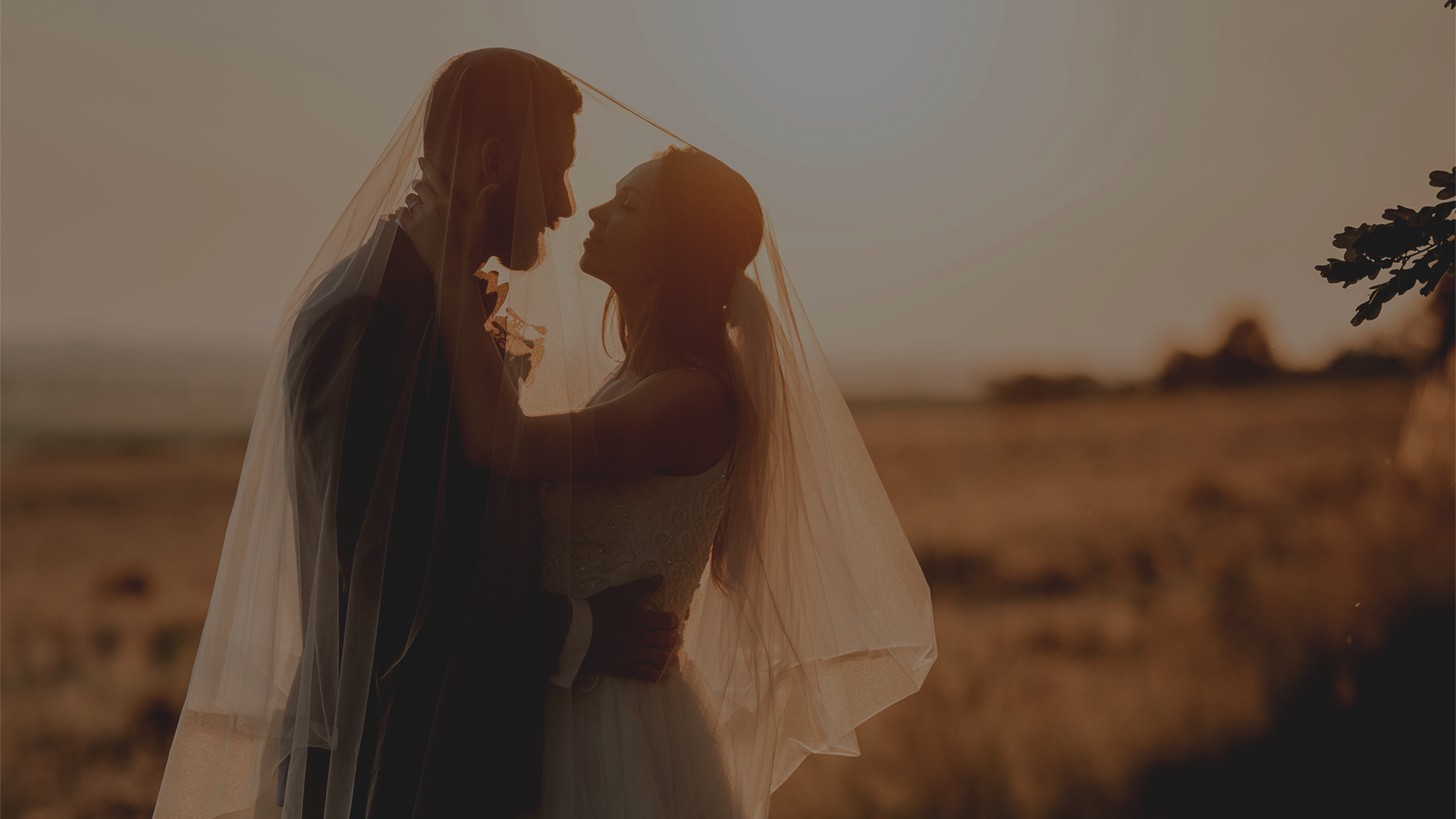 Budget Wedding