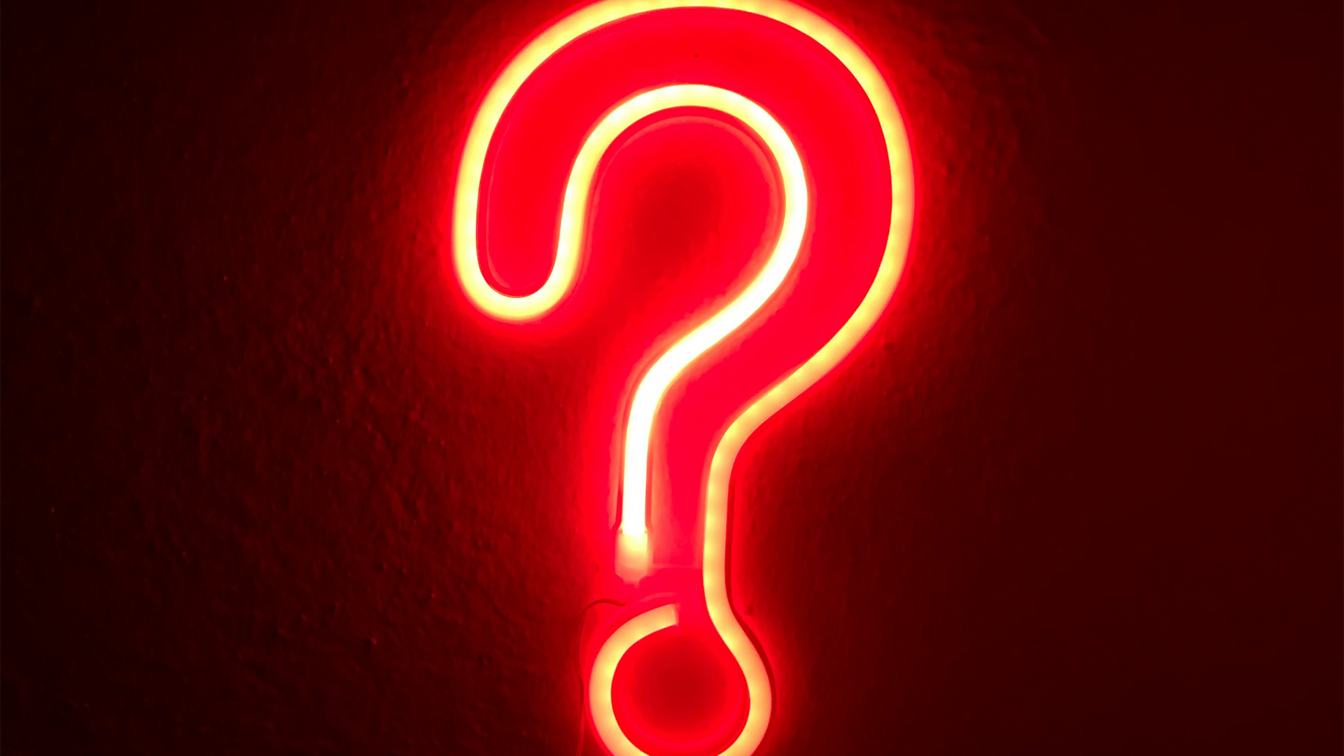 10 Questions to Ask Your Wedding Videographer Before Hiring