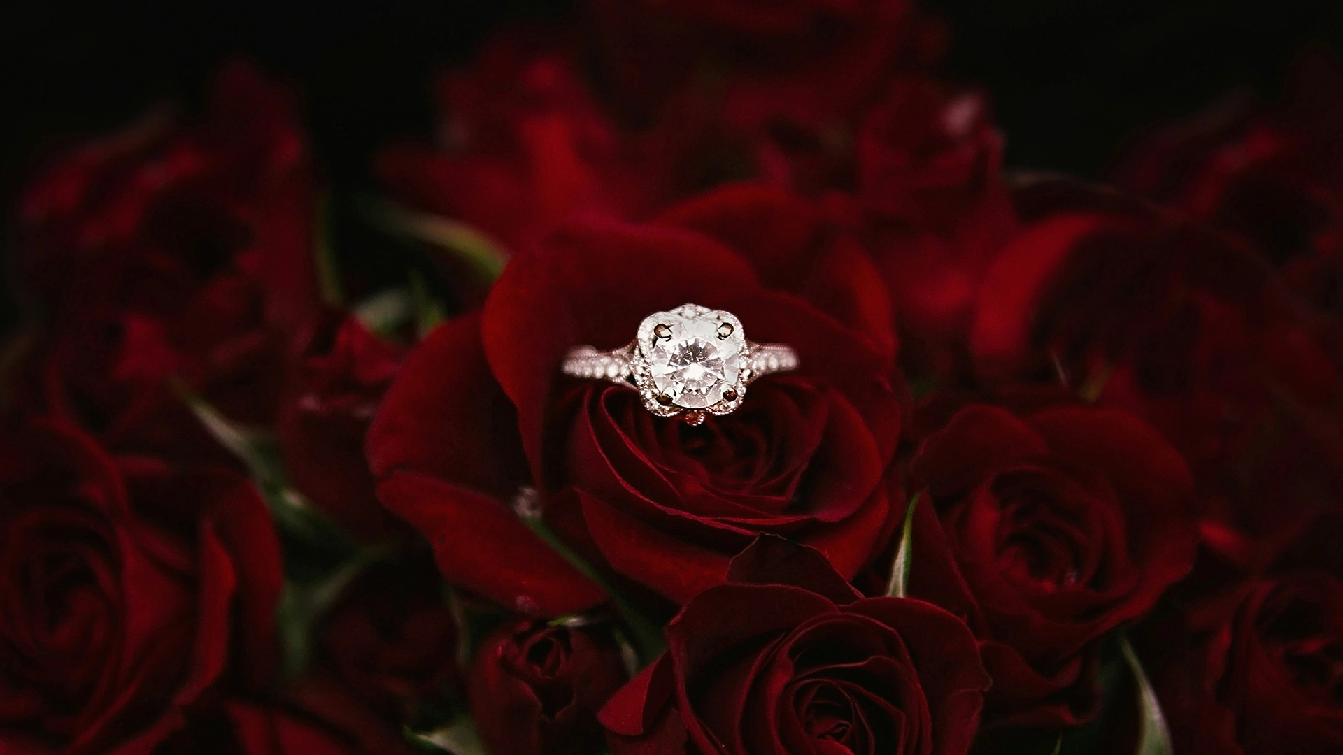 Engagement Ring Shopping Guide: Finding the Perfect Ring